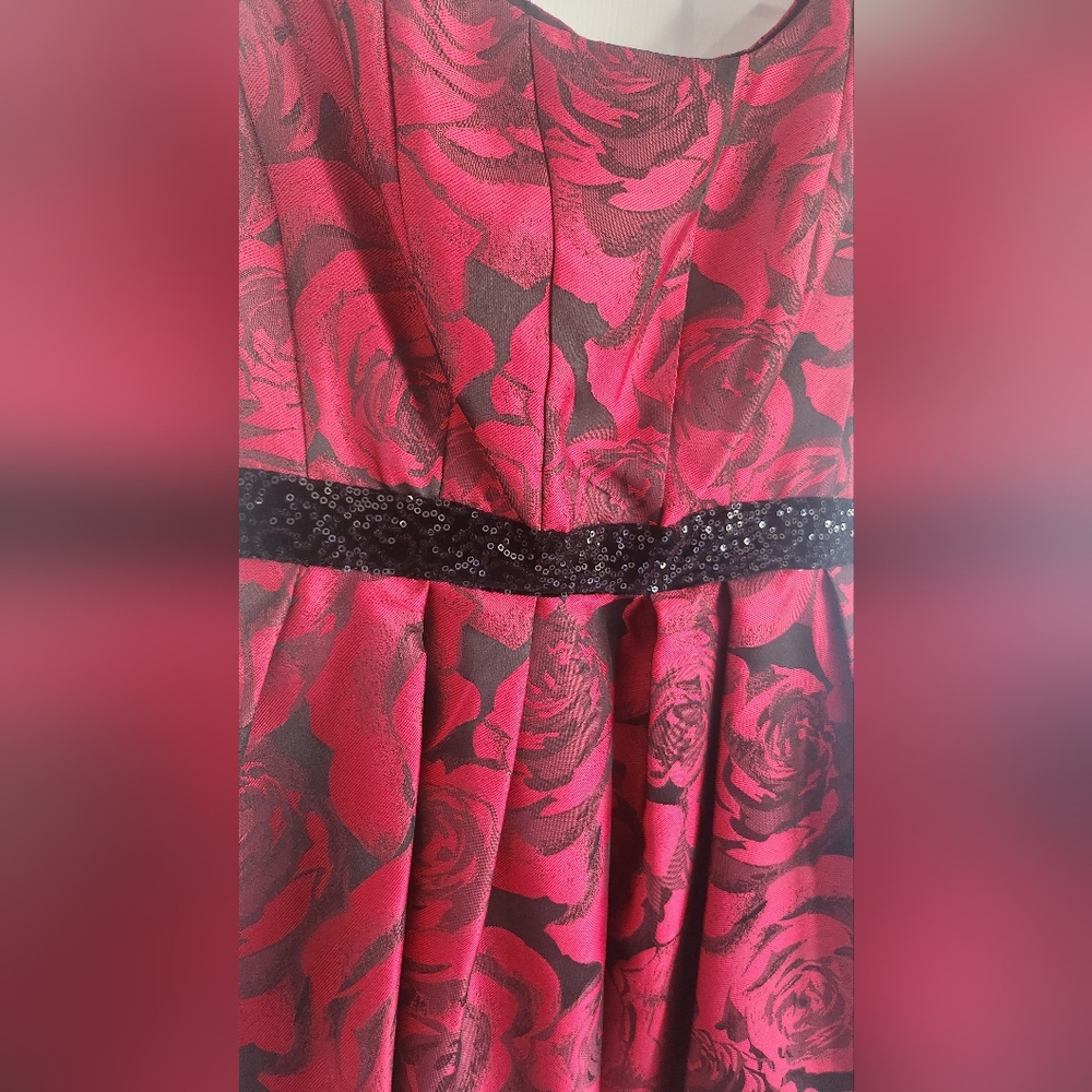 Donna Ricco Roses Dress - Picture 2 of 9